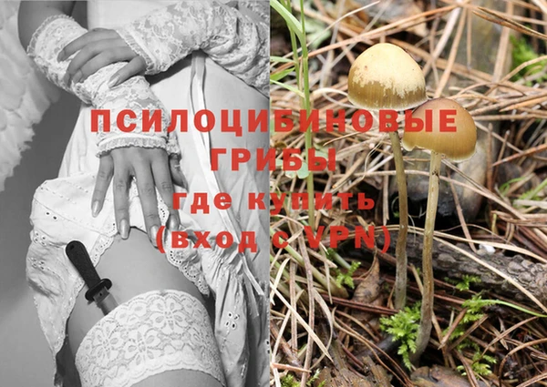 прущие крисы Лихославль