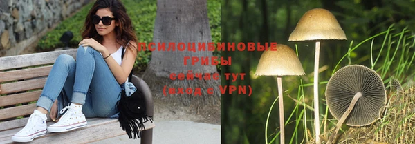 ECSTASY Лабытнанги