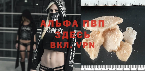 твердый Великий Новгород