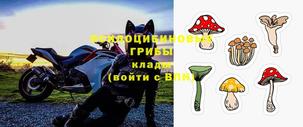 СК Лагань