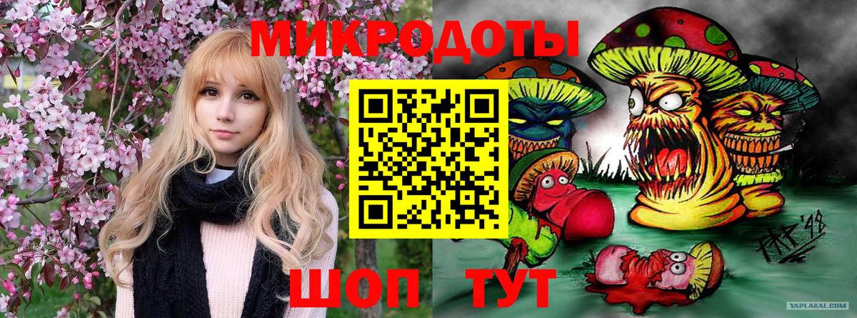 Псилоцибиновые грибы прущие грибы Сафоново