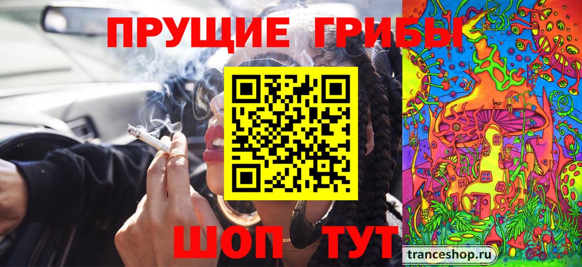 Галлюциногенные грибы Psilocybine cubensis  Вход с VPN  Сафоново  Псилоцибиновые грибы мухоморы 
